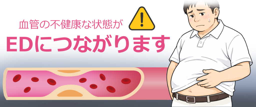 血管が悪くなるとEDがおこります